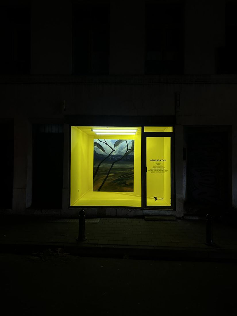 Arnaud Kool, artist exhibited at TREIZE, contemporary art gallery in Brussels
