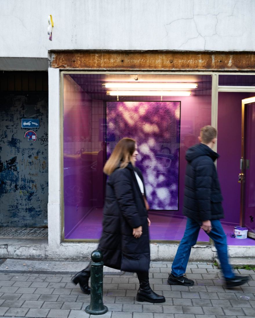 Nico De Nys at TREIZE, TREIZE 1, passing by, contemporary art gallery in Brussels