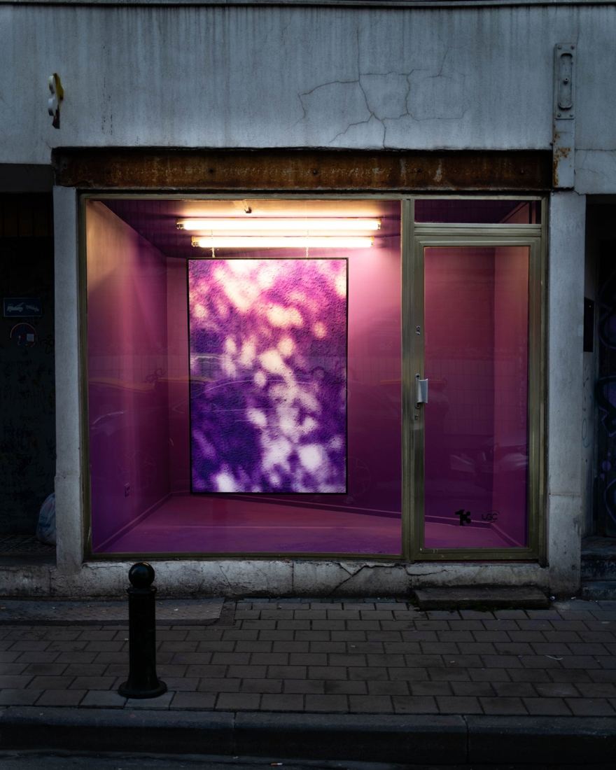 Nico De Nys, artist exhibited at TREIZE, contemporary art gallery in Brussels